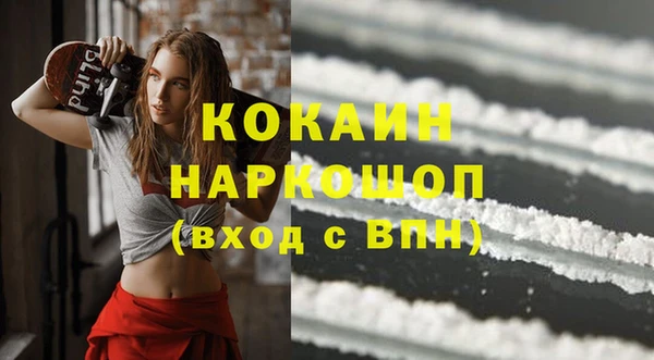 шишки Михайловск