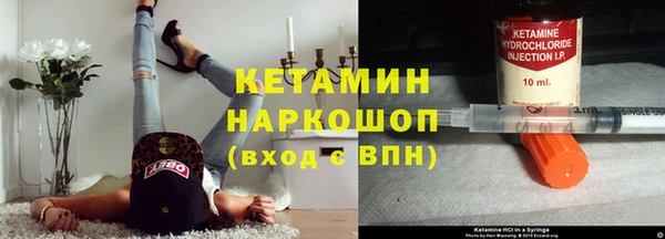 шишки Михайловск