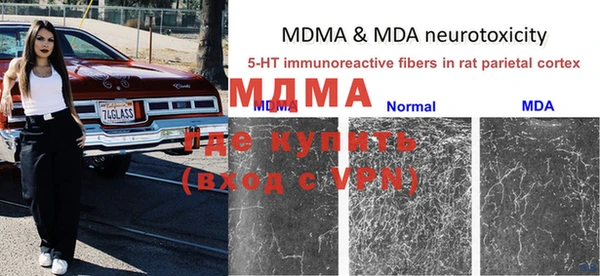 шишки Михайловск