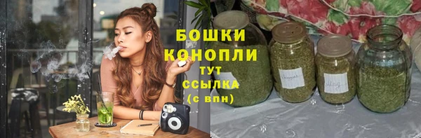 шишки Михайловск