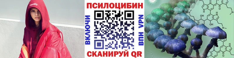 Псилоцибиновые грибы прущие грибы Алексин