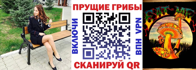 Псилоцибиновые грибы мицелий  Купить закладки  Алексин 