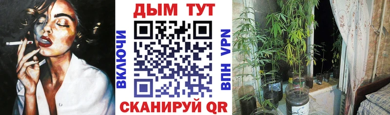 Купить  Алексин  Канабис гибрид 